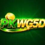PKWG5D Game